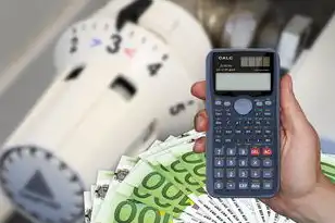 ddns的域名需要备案吗,DDNS域名注册免费,解析DDNS域名备案问题及注意事项