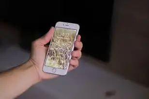 虚拟机能识别u盘吗,虚拟机识别U盘,原理、方法与注意事项详解