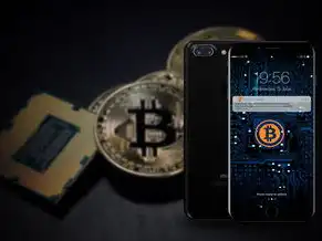 虚拟机和主机共享ip，深入探讨VM虚拟机与主机共享IP的原理与实践
