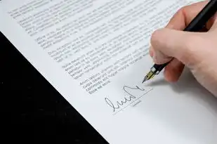 对象存储是啥，深入解析对象存储解决方案，原理、优势与实施策略