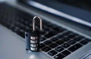 域名注册查询网站，全面解析域名注册信息查询系统，功能、操作及注意事项