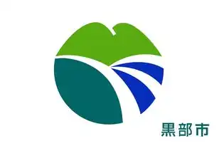 日本云服务器厂商，日本云服务市场深度解析，主流厂商实力比拼与行业发展趋势