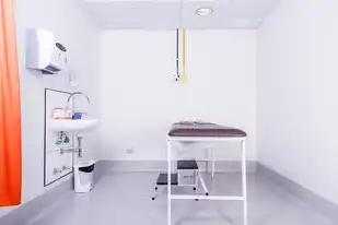 阿里云租用香港服务器多少钱，全面解析阿里云香港服务器租用费用，价格、性能与优势一览