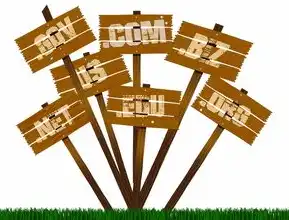 域名注册的流程是什么?域名注册全攻略,详解域名注册流程及注意事项