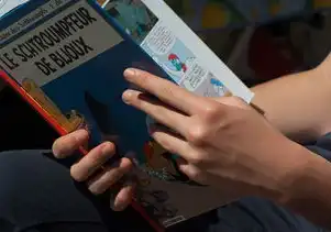 域名注册什么样的好用，域名注册，如何挑选优质域名，打造品牌影响力