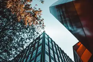 云服务器是虚拟的还是实体的啊知乎，云服务器，虚拟与现实交织的云端世界—揭秘云服务器的实体与虚拟之谜