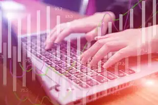 注册域名的网站有哪些类型的,深入解析注册域名的网站类型,从基础到高级全面解读