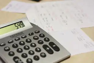 公司注册域名需要哪些条件和手续，公司注册域名的条件与手续详解，助力企业互联网发展