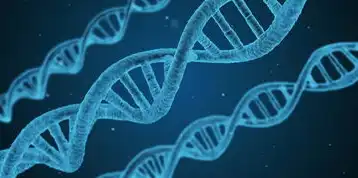 kvm虚拟机运行模式，深入解析KVM虚拟机三种工作模式，全虚拟化、半虚拟化和硬件辅助虚拟化