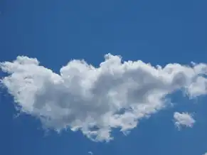 云服务器能挂游戏吗,云服务器能否承载游戏?全面解析云游戏技术在云服务器上的应用