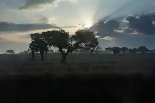 桌面云虚拟机管理员密码忘了，桌面云虚拟机管理员密码遗忘，解决方案与经验分享