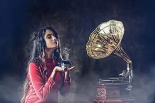 远程vps怎么登录，VPS远程服务器桌面激活抖音号，轻松实现，操作指南详解