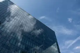 国内四大云服务平台，国内四大云服务平台深度解析，阿里云、腾讯云、华为云、京东云的竞争与合作