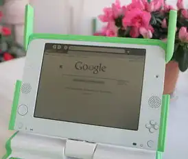 google服务器官方下载，Google服务器官方下载指南，从入门到精通
