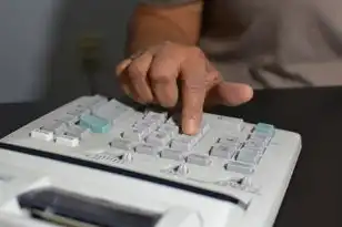 域名的注册流程是什么意思，域名注册全攻略，详解域名注册流程及注意事项
