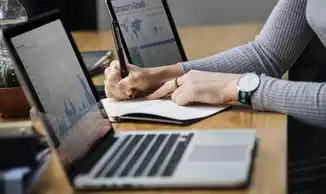 服务器用来干嘛的英文翻译，The Role and Functions of Servers in the Modern World