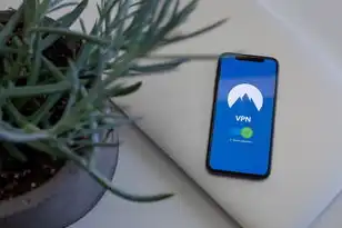 云主机破解版无限制，揭秘免费云主机永久免费使用破解版，无限制畅享云端资源，告别付费烦恼！