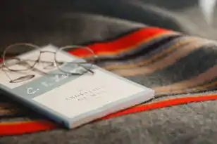 对于储存器下列说法正确的是什么，深入解析，关于存储器的五大正确说法