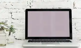 vps主机的优缺点，深度解析VPS主机哪家好？全面分析VPS主机优缺点及选购技巧