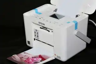 阿里云轻量服务器能干嘛，阿里云轻量服务器的强大功能与应用场景解析
