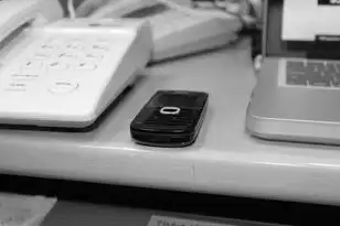 什么叫域名注册信息服务,深度解析,什么是域名注册信息,揭秘域名注册的奥秘