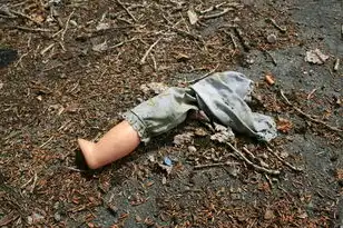 云桌面系统终端配置，云桌面服务器搭建与子终端配置手册详解