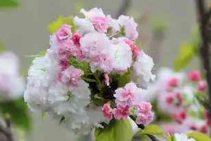 虚拟机安装群晖nas，VM虚拟机安装群晖NAS完全指南，从环境搭建到功能配置的详细步骤
