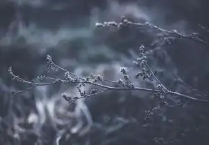虚拟机挂起什么意思,虚拟机挂载ISO镜像全解析,原理、操作指南与进阶技巧