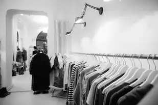 国产服务器有哪些品牌好用，深度解析，国产服务器品牌大盘点，这些优质品牌你了解多少？
