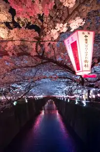 日本樱花云服务器hu，日本樱花云服务器，助力企业高效发展的云端之选