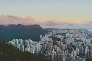 阿里云动态域名注册流程图，阿里云动态域名注册流程详解，轻松实现随时随地访问您的服务器