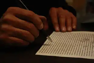 域名注册须提交的材料有哪些，域名注册所需材料详解，全面了解域名注册信息填写要求