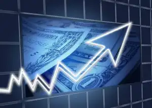 国别域名有哪些，全球国别域名注册规则全解析，从申请流程到法律风险防范