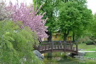 日本樱花服务器网站地址，日本樱花服务器网站，探索日本樱花之美，畅游樱花盛开的网络世界