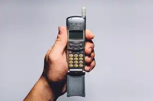 亚服服务器排行榜最新，2023年亚洲游戏服务器生态深度解析，从原神到王者荣耀的亚服排行榜及行业趋势报告