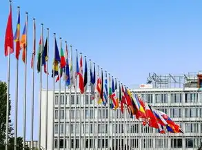 国内液冷服务器厂家,液冷服务器龙头股中石科技外资布局解析,全球算力革命下的产业重构与价值重估