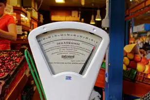 阿里云服务器香港vps，全面解析阿里云香港服务器VPS，性能卓越、稳定可靠，助力您的业务腾飞！
