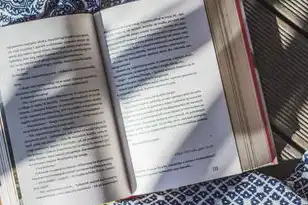 云端服务是什么意思，深入解析云端服务，功能与实例剖析