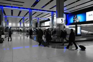 华为云服务公司杨中方总监，华为云服务公司杨中方总监，探索数字化转型新路径，助力企业迈向智能未来