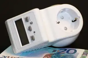 服务器租赁开票项目选什么，服务器租赁费用开票指南，项目选择与操作流程详解