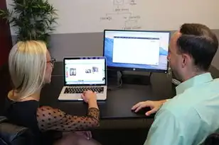 网站域名注册信息查询，网站域名注册明细查询指南，全面解析查询过程及注意事项