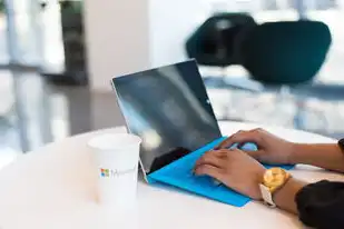 windows中的服务，深入解析Windows服务器，功能、配置与优化全攻略