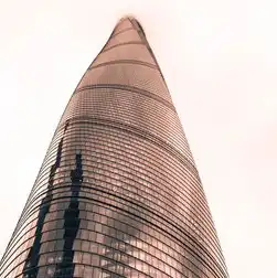中国云服务商市场份额，中国云服务商市场份额分析，格局演变与未来趋势