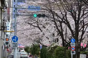 日本樱花服务器免费吗，日本樱花服务器免费大揭秘，畅享云端游戏体验，无需额外费用！