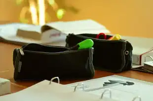 阿里云服务器学生认证，阿里云服务器学生认证全攻略，从零基础到实战应用的完整指南