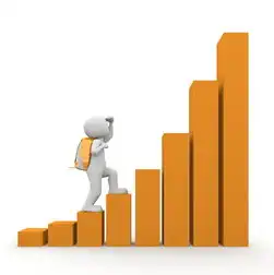 域名的注册商是做什么的，深入解析域名注册商的职责与业务范围