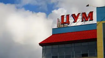 多店铺云服务器是什么，多店铺云服务器，助力电商企业实现高效运营的利器