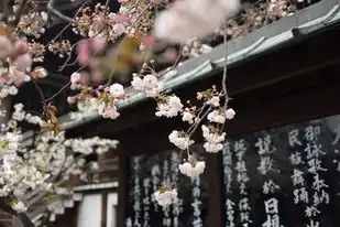 日本樱花服务器下载地址是多少，日本樱花服务器下载地址详解，体验独特日式游戏体验的必备指南