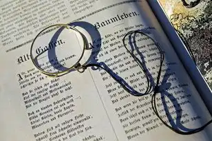 域名注册向谁交钱，揭秘域名注册，了解您的注册费用去向及查询方法