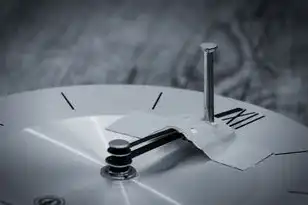 对象存储优缺点，深入剖析，对象存储的优势与不足